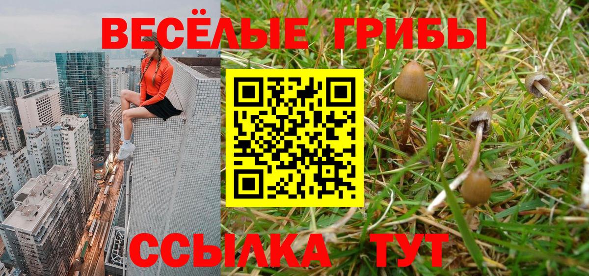 Галлюциногенные грибы Psilocybine cubensis  Вход с VPN  Сибай 